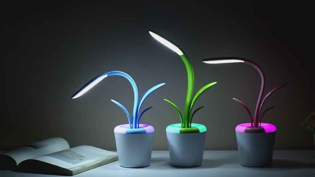 Botaniq Glow Lamp